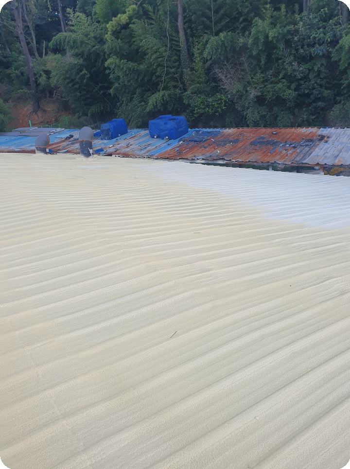 21ae63d2a46de1cc428ac03cf8970aba_1758776499_392.jpg 21ae63d2a46de1cc428ac03cf8970aba_1758776499_392.jpg