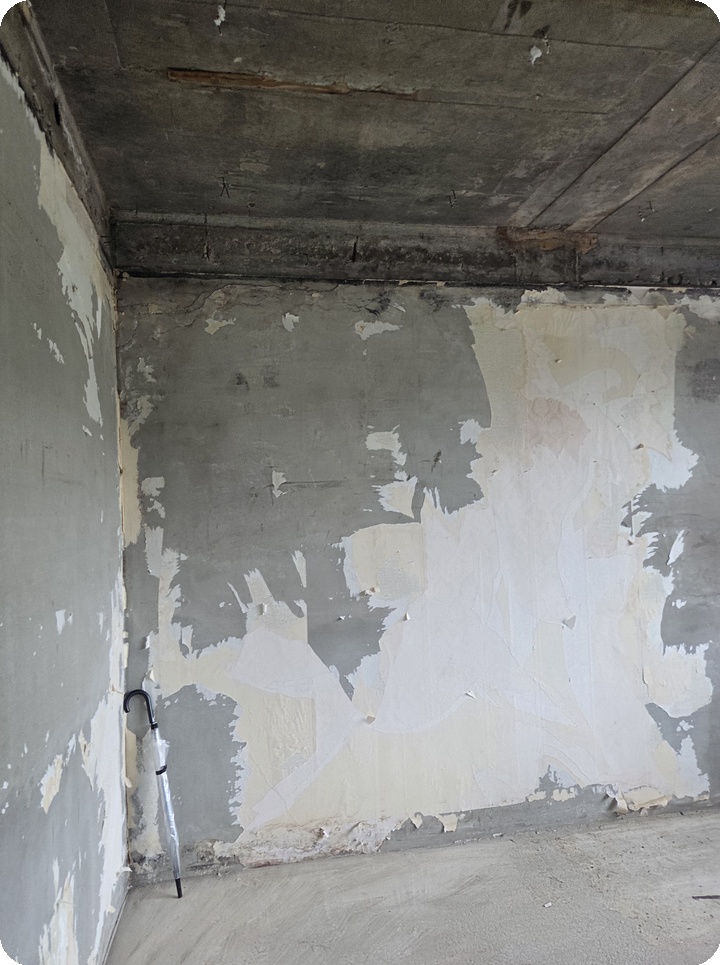 5abaefb973343eae51153d5ba10b890c_1762324808_3426.jpg 5abaefb973343eae51153d5ba10b890c_1762324808_3426.jpg