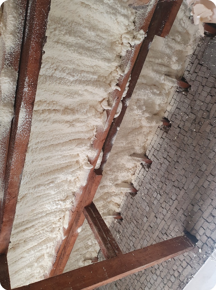 caa5f581434f3856a0ec84192c69dae1_1764830014_6613.jpg caa5f581434f3856a0ec84192c69dae1_1764830014_6613.jpg